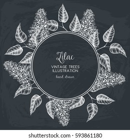 Vintage vector spring card design. Hand drawn blooming branches of lilac tree on chalkboard. Botanical illustration.