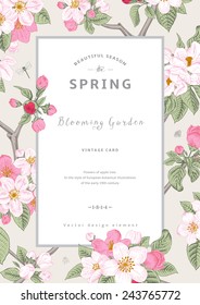 Vintage vector vertical card spring. Branch of apple tree blossoms pink flowers on gray background.