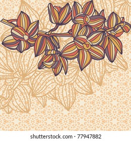 vintage vector which consist of ornate patterns. Vector illustration