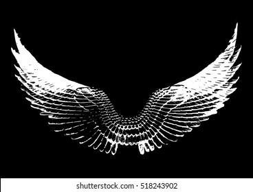 vintage vector wings on white background. EPS 10