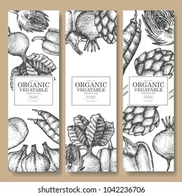 Vintage vegetable illustration for label packaging design.Use by Pen and Ink Sketch Drawing Technique.Vector and illustration.