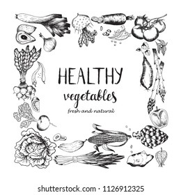 Vintage Vegetables Engravings illustrations. Perfect for any food, gardening or agriculture related designs, restaurant menus, retro logos, decoupage and scrapbooking. Vector illustration art.