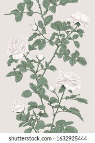 Vintage vertical seamless pattern with roses. Botanical vector illustration. Gentle pastel background.
