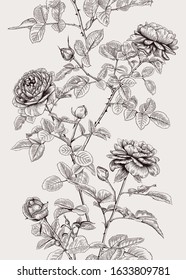 Vintage vertical seamless pattern with roses. Botanical vector illustration.  Black and white.