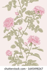Vintage vertical seamless pattern with roses. Floral vector illustration. Gentle and romantic print. Pastel background.
