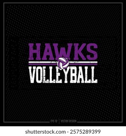 Vintage Volleyball, Volleyball, Team, Game, Sports, Athlete, Athletic Department, Hawk, Sports Ball, Ball, Sport Team