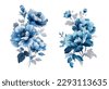 blue flower petal