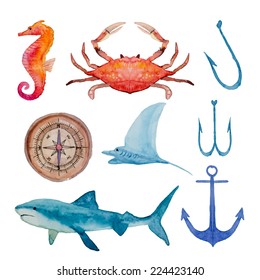 Vintage watercolor elements set in sea theme. Hand drawn anchor, crab, shark, sea horse, hook, compass in vector.