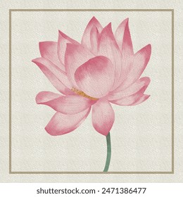 Vintage Watercolor lotus flower handdraw