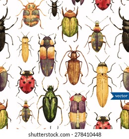 Vintage watercolor seamless pattern with beetles, white background