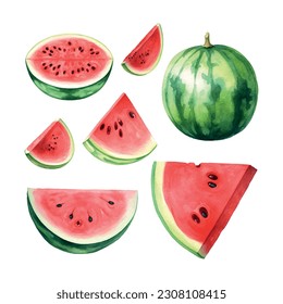 Vintage watermelon watercolor, great design for any purposes