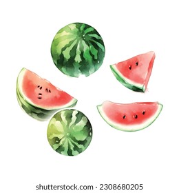 Vintage watermelon watercolor, great design for any purposes