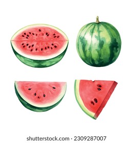 Vintage watermelon watercolor, great design for any purposes