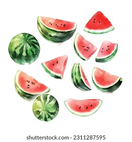 Vintage watermelon watercolor, great design for any purposes