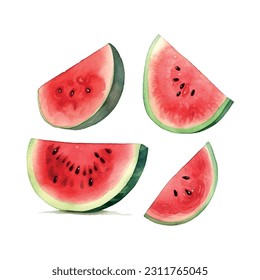 Vintage watermelon watercolor, great design for any purposes