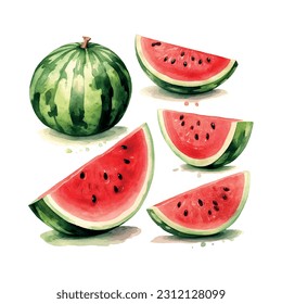 Vintage watermelon watercolor, great design for any purposes