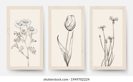 Plantilla de tarjeta de boda vintage. Pancartas florales, afiches con flores. Tulip Chamomile, fondo vectorial de plantas de pradera silvestres. Invitación a tarjeta floral, banner de boda vintage