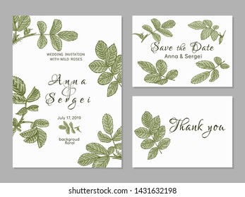 Vintage wedding set with greenery. Wedding invitation, save the date, thank you. Vector illustration.Wild roses. composition with leaves and twigs. Olive Background.