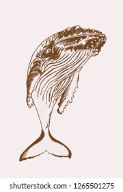 Vintage whale swimming , vector illustration,sepia