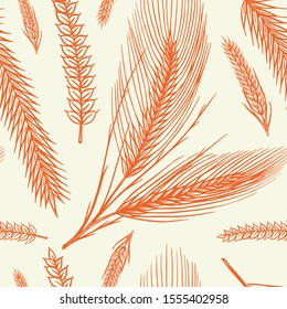 Vintage wheat seamless pattern. Rye background. Corn or Cereal for Bakery poster. Hand drawn engraved sketch for print label or badge. Retro symbols.