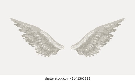 Vintage white bird wings illustration, vintage vector element. 