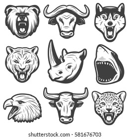 Vintage wild animals set with bear buffalo wolf panther rhino shark eagle bull tiger heads isolated vector illustration