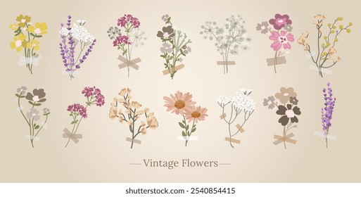 Antiguas colección de ramos de flores silvestres. Plantas de herbario, hierbas y flores, flores en flor Dibujo a mano. Conjunto botánico detallado de flores secas de Elementos, pegatinas, collage, impresión, Diseño web. Vector