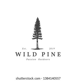 Vintage wild pine design logo vector, Evergreen logo design inspiration - vector