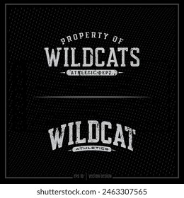 Antiguas Wildcat, Wildcat Atletismo, Departamento atlético, Equipo, Emblema deportivo, Wildcat Sport, Wildcat