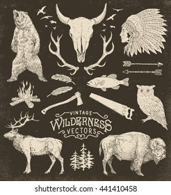 Vintage Wilderness Vector Illustration Set