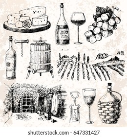 Vintage winery wine production handmade drawn draft wine making sketch fermentation grape drink old vintage vector illustration