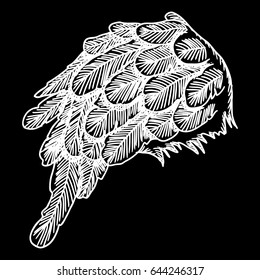 Vintage wing isolated on black background. Design elements for logo, label, emblem. Heraldic hand drawn wing for tattoo. Vector. 