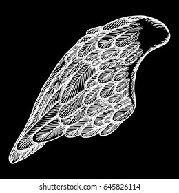 Vintage wing isolated on black background. Design elements for logo, label, emblem. Heraldic hand drawn wing for tattoo. Vector. 
