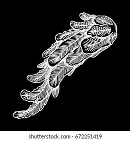 Vintage wing isolated on black background. Design elements for logo, label, emblem. Heraldic hand drawn wing for tattoo. Vector. 