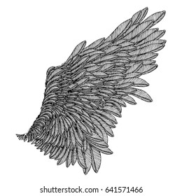 Vintage wing isolated on white background. Design elements for logo, label, emblem. Heraldic hand drawn wing for tattoo. Vector. 