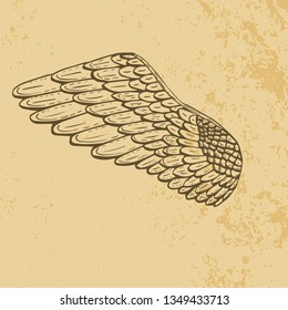 Vintage wings of angel or eagle , or dove or bird. Gothic style.