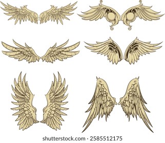 Vintage wings design vector illustration set_02