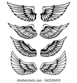 Vintage wings isolated on white background. Design elements for logo, label, emblem, sign, brand mark. Vector illustration. 