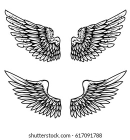 Vintage wings isolated on white background. Design elements for logo, label, emblem, sign, brand mark. Vector illustration. 