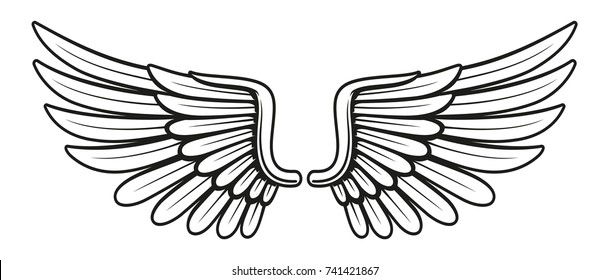 Vintage wings, isolated on white background