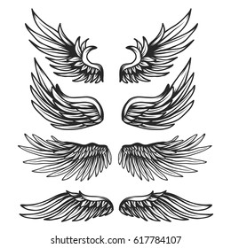 Vintage Wings Set Isolated On White Stock Vector (Royalty Free ...