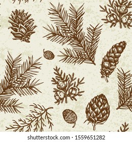 Vintage winter seamless pattern with evergreen plants. Decorative background for Christmas and new year. Hand drawn vector pattern.