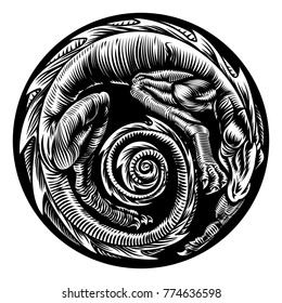 A vintage woodcut dragon tattoo style design in circle shape