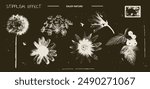 Vintage y2k set of dandelion, chamomile, sunflower, fennel, daisy, branch currant with retro negative photocopy effect. Flowers grunge with a grainy effect and stippling. Vector illustration