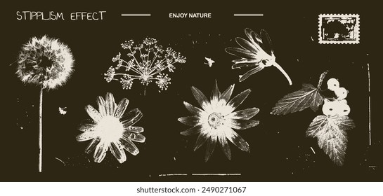 Vintage y2k set of dandelion, chamomile, sunflower, fennel, daisy, branch currant with retro negative photocopy effect. Flowers grunge with a grainy effect and stippling. Vector illustration