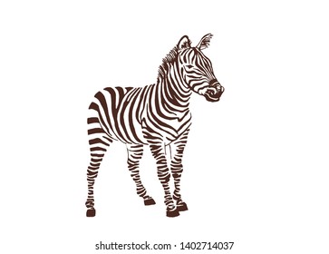 Vintage zebra standing ,vector illustration, retro design