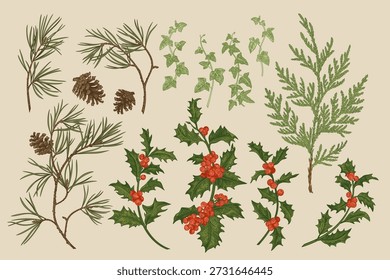 A vintage-style botanical set of winter plants: pine, cypress, holly with red berries, ivy, and pinecones. Ideal for Christmas designs, holiday decor, packaging, textiles, and festive stationery with a classic, detailed aesthetic.