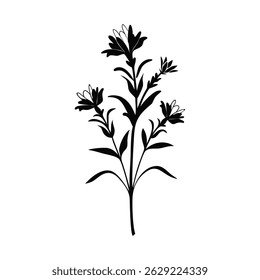 Vintage-style floral illustration of a wild flower, inspired by diary art, suitable for organic prints and nature themes.