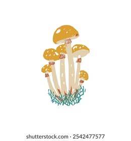 Vintage-style illustration of a cluster of golden mushrooms with detailed caps, growing together in a bundle with grass at the base. Botanical illustrations, nature artwork, or woodland decor design.