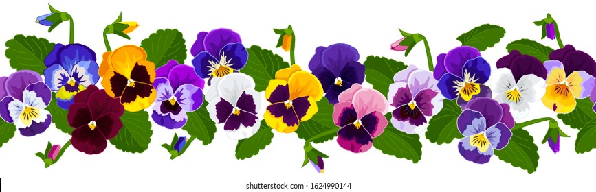 Viola flower. Border flowers Pansies, flowers yellow, purple, blue, lilac, white, leaves. Seamless flower border for decoration. Vector image.